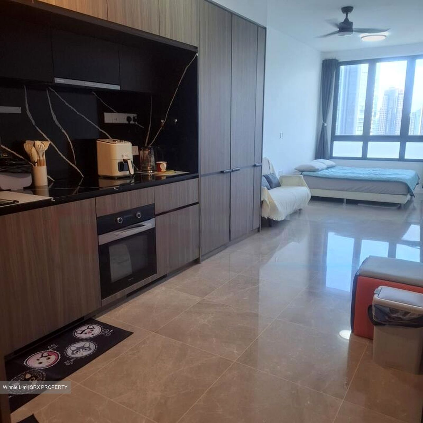 Irwell Hill Residences (D9), Apartment #486290881